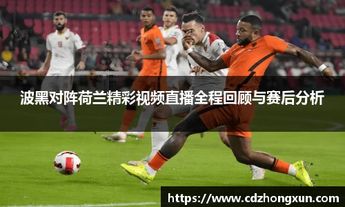 波黑对阵荷兰精彩视频直播全程回顾与赛后分析